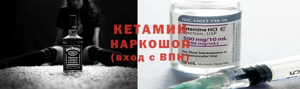 шишки Аркадак