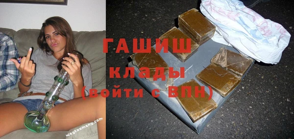 шишки Аркадак