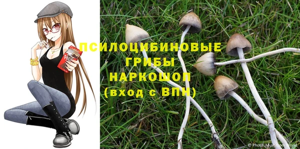 MESCALINE Арсеньев
