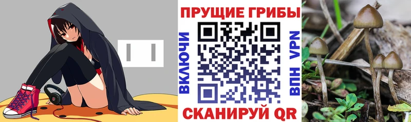 Галлюциногенные грибы мухоморы  Асбест 